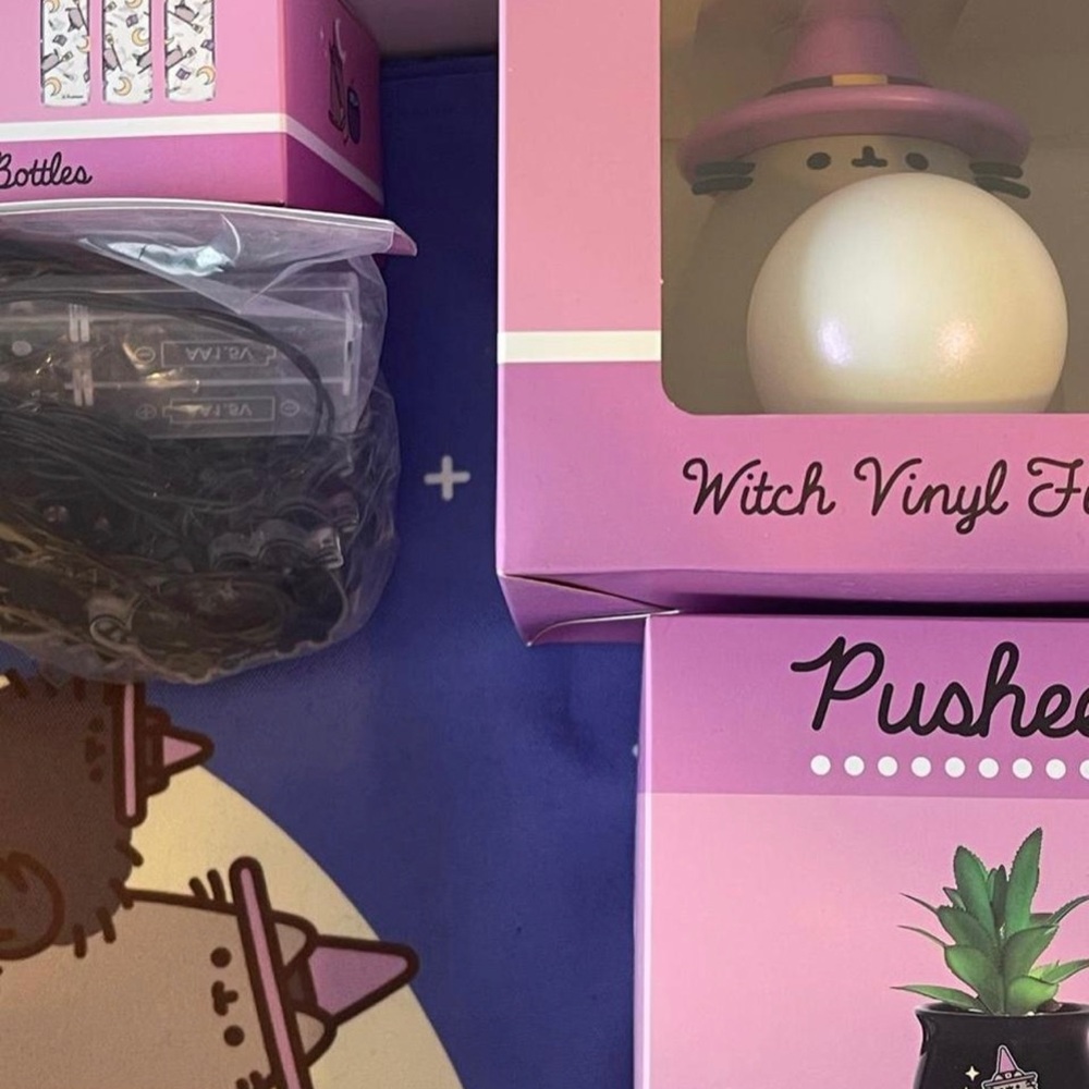 Halloween Pusheen Box